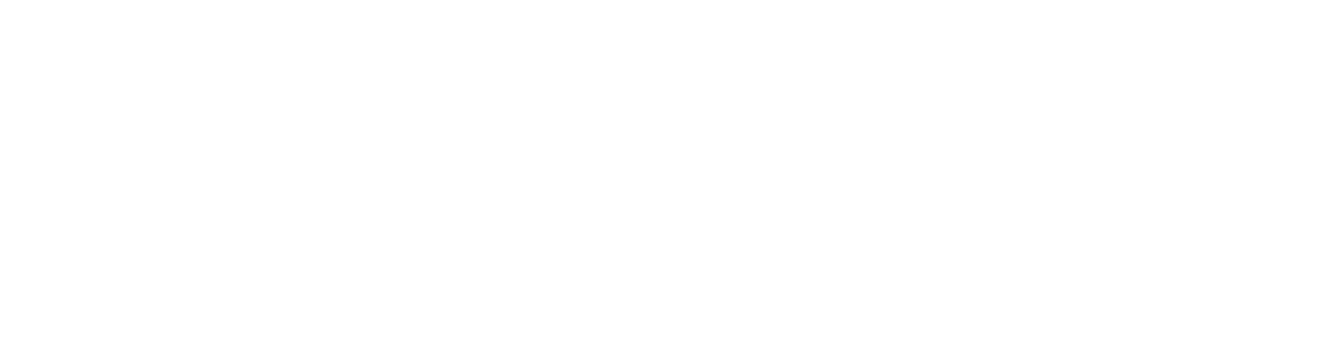 litonomy.com